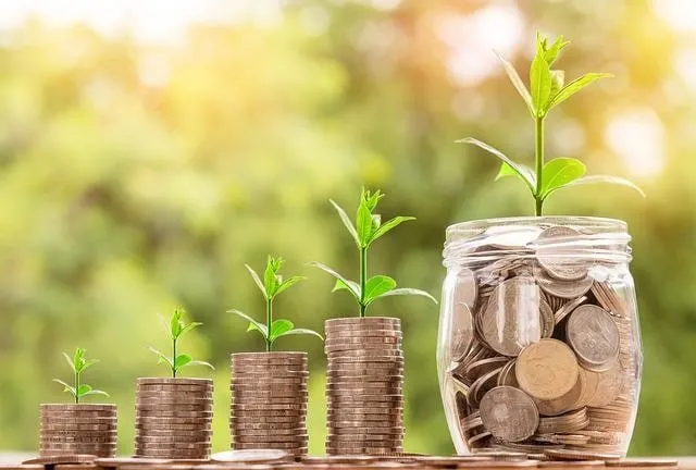 Piles of coins growing sprouts - investment or income earning concept